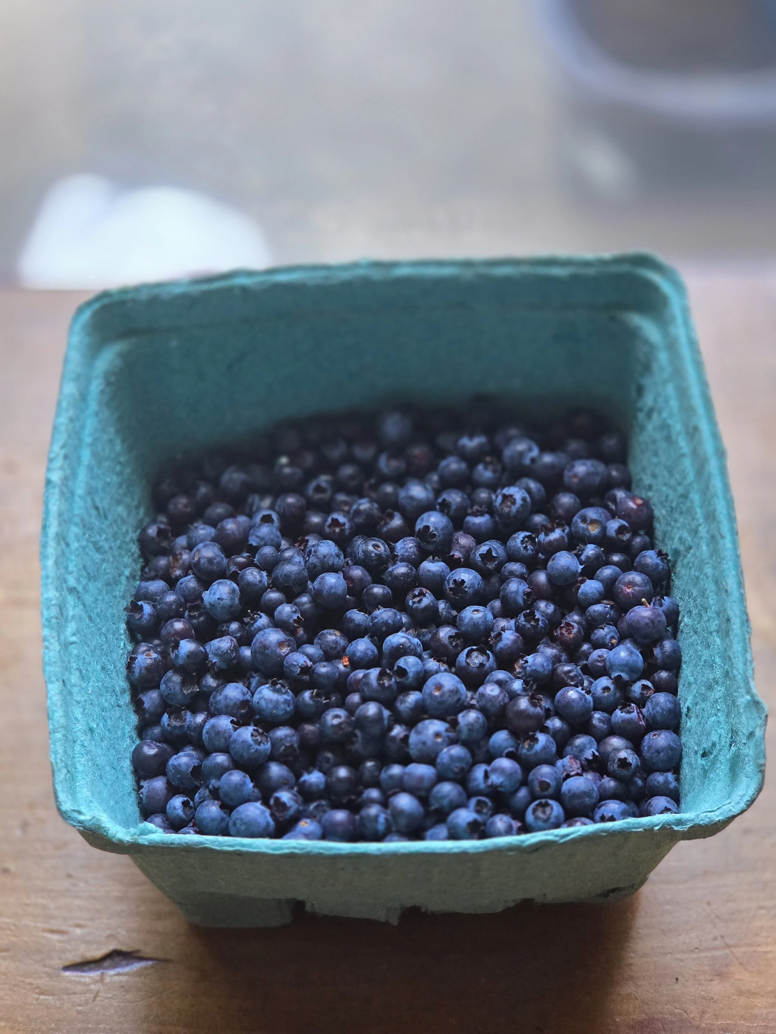 1 LB Fresh Wild Maine Blueberries