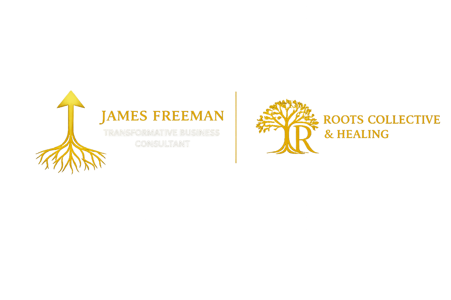 James Freeman Business Consulting