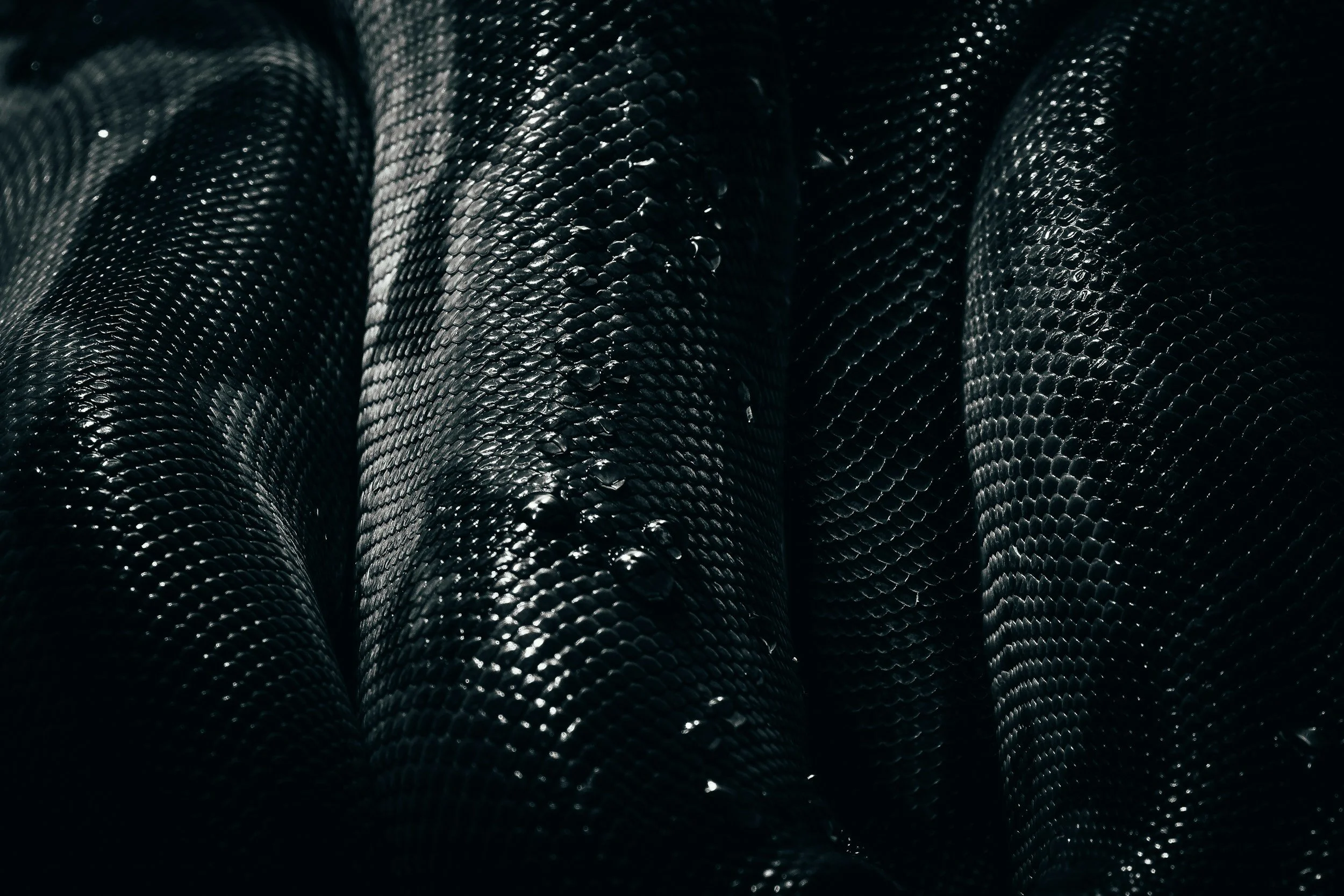 unsplash-image-Fkt-gbaYJMs.jpg