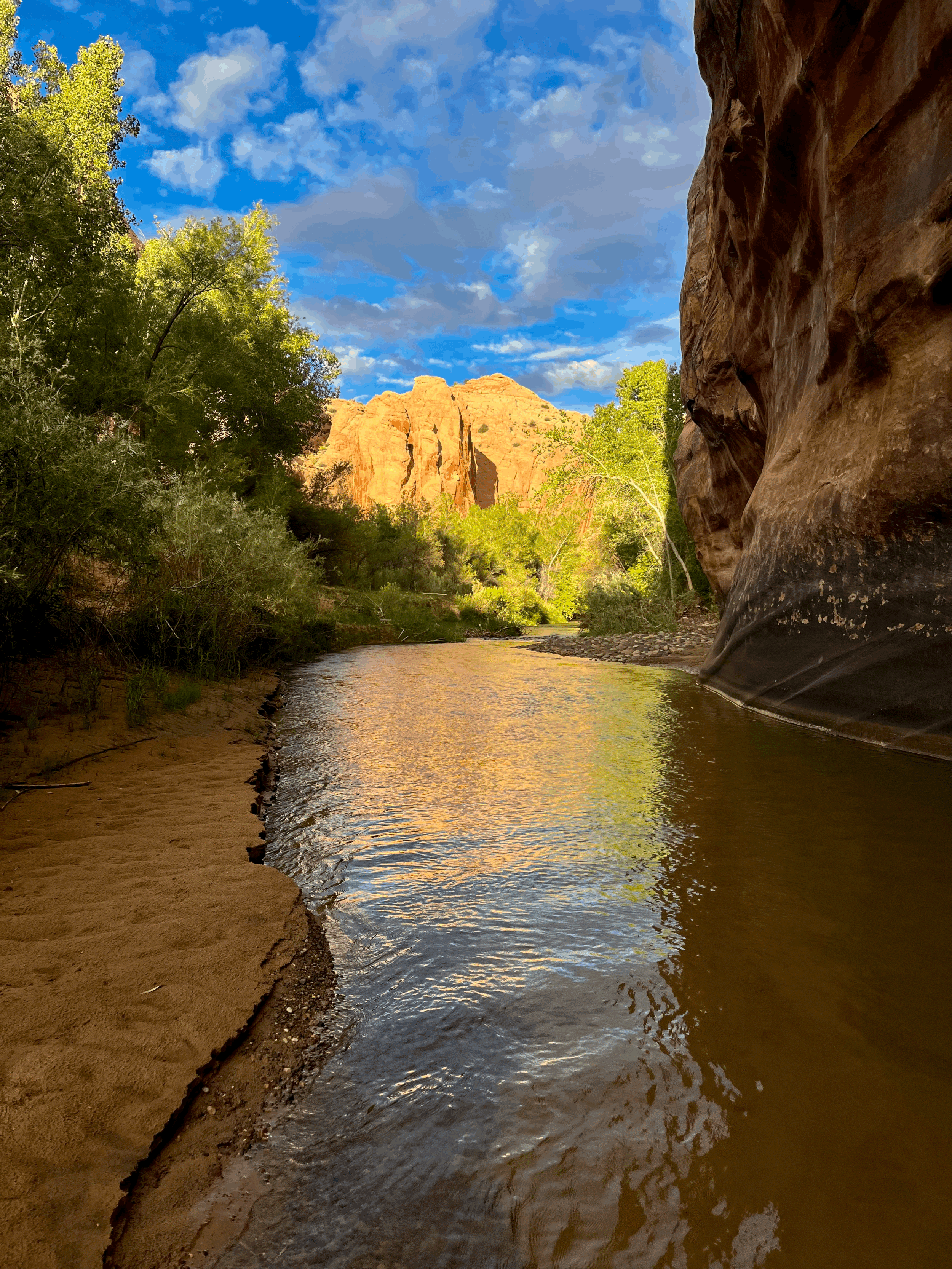 Custom Backpacking Route (3 Days/2 Nights)