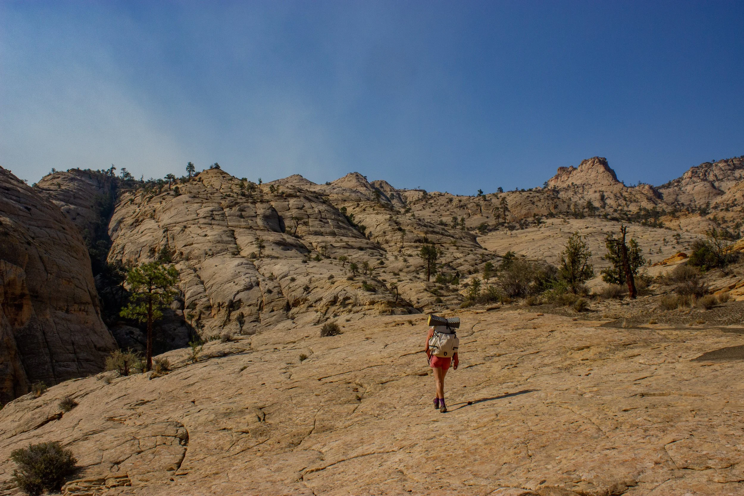 Intro to Fastpacking - 3 Days/2 Nights