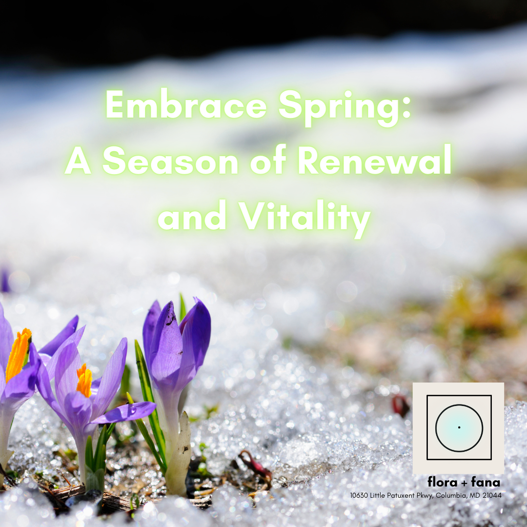Embrace Spring: A Season of Renewal and Vitality