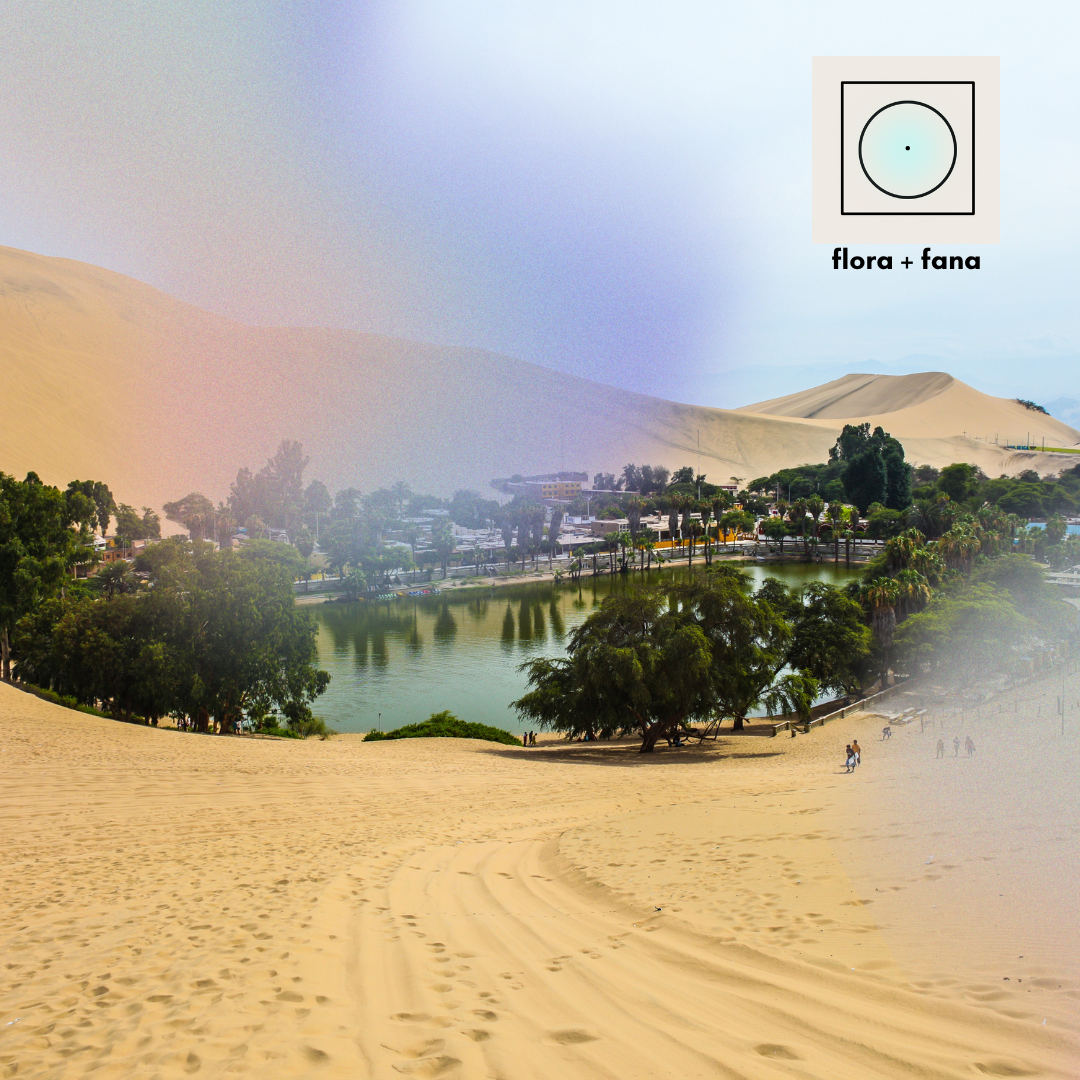 Fasting from Sunrise to Sunset: A Holistic Approach