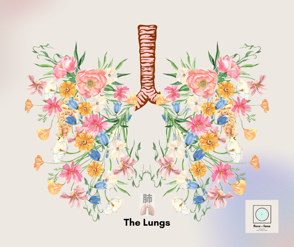 Letting Go and Finding Gold: Autumn Practices in Chinese Medicine