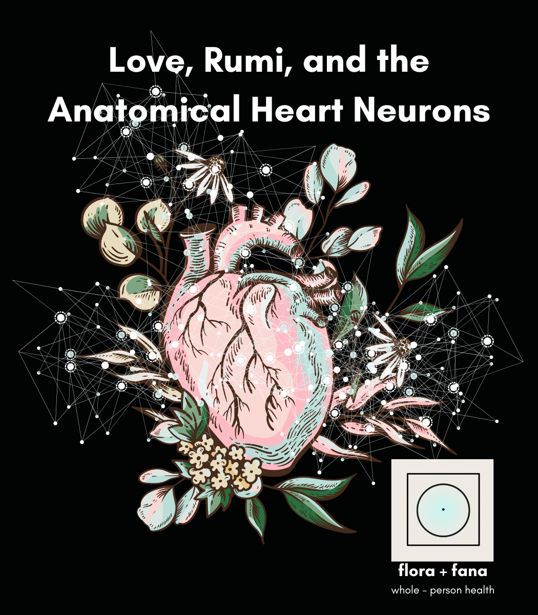 Love, Rumi, and the Anatomical Heart Neurons