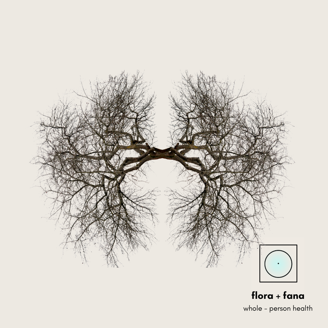 The Lung’s Hidden Power: A Modern &amp; Ancient Connection to Blood