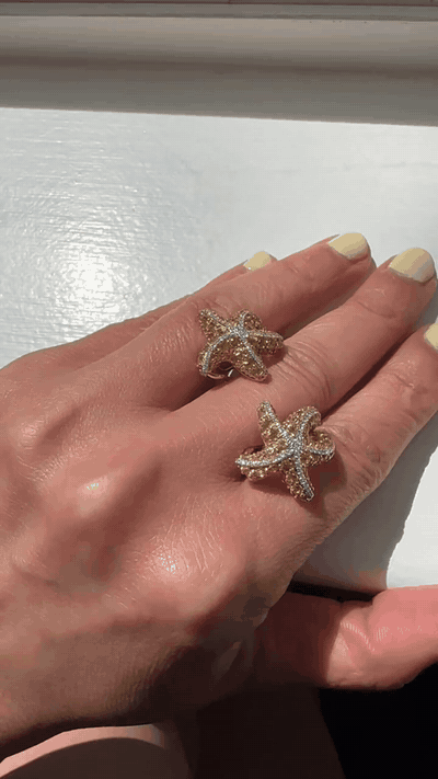 starfish_yellow_loop.gif