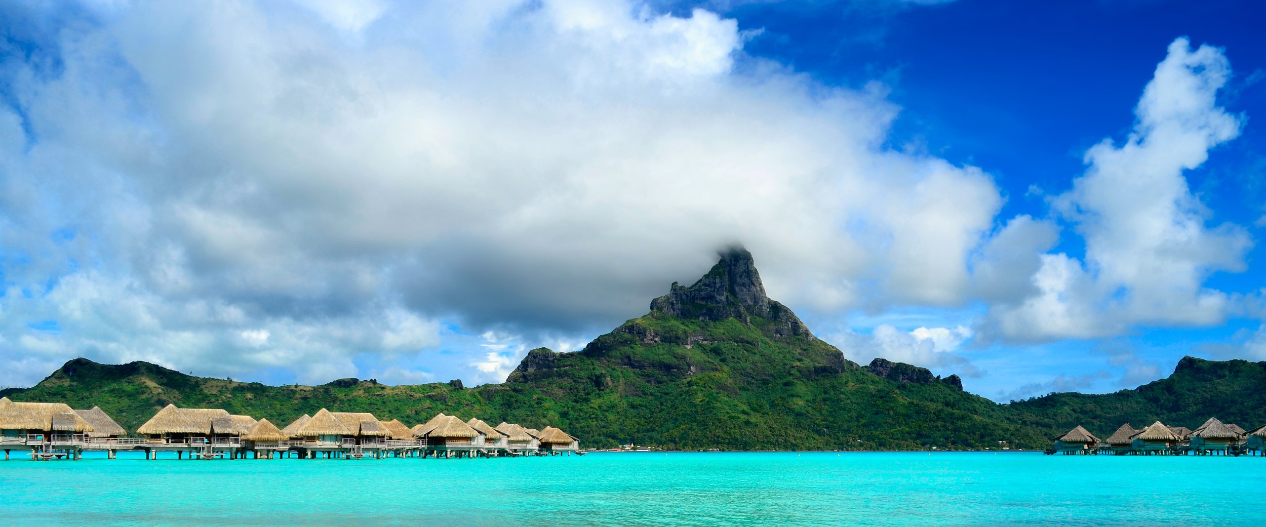 Ocean Cruises