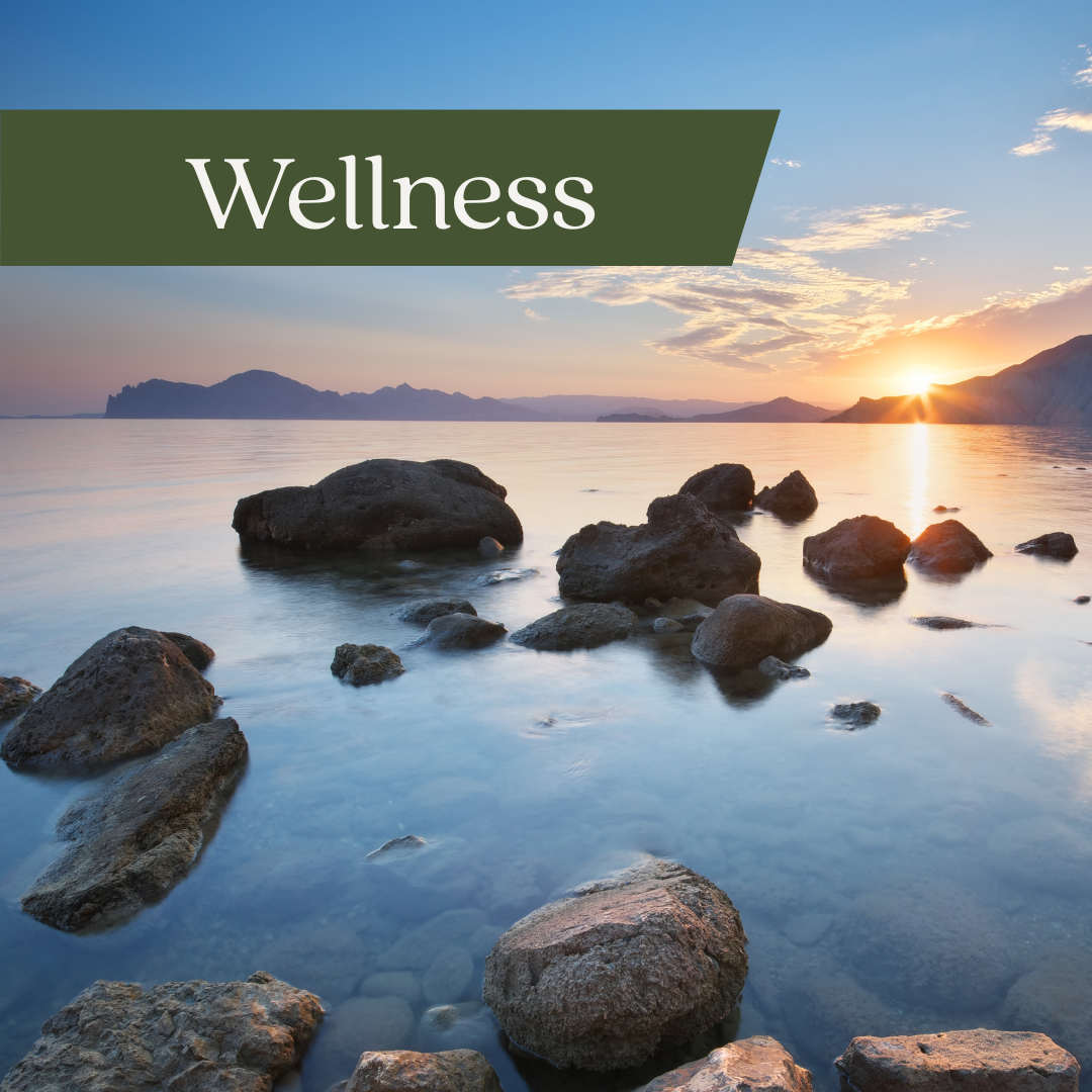 A serene landscape with rocks in calm water during sunrise or sunset, with mountains in the distance and the sky partly cloudy. The word 'Wellness' is written in white on a green banner in the top left corner.