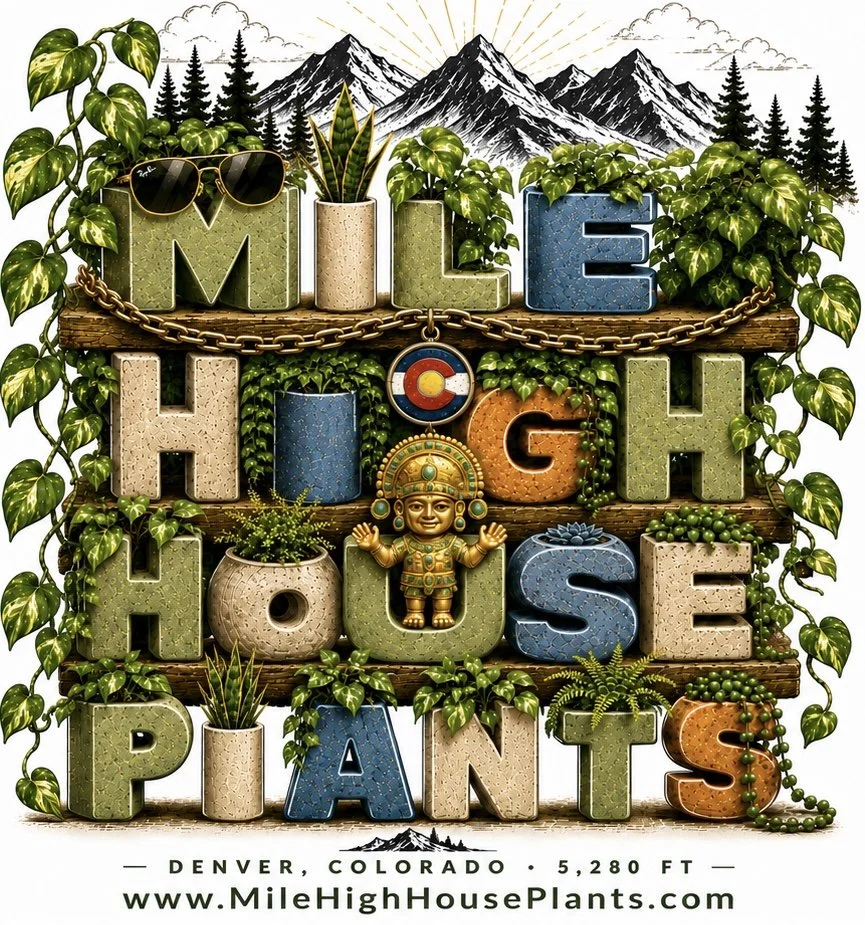 Mile High House Plants