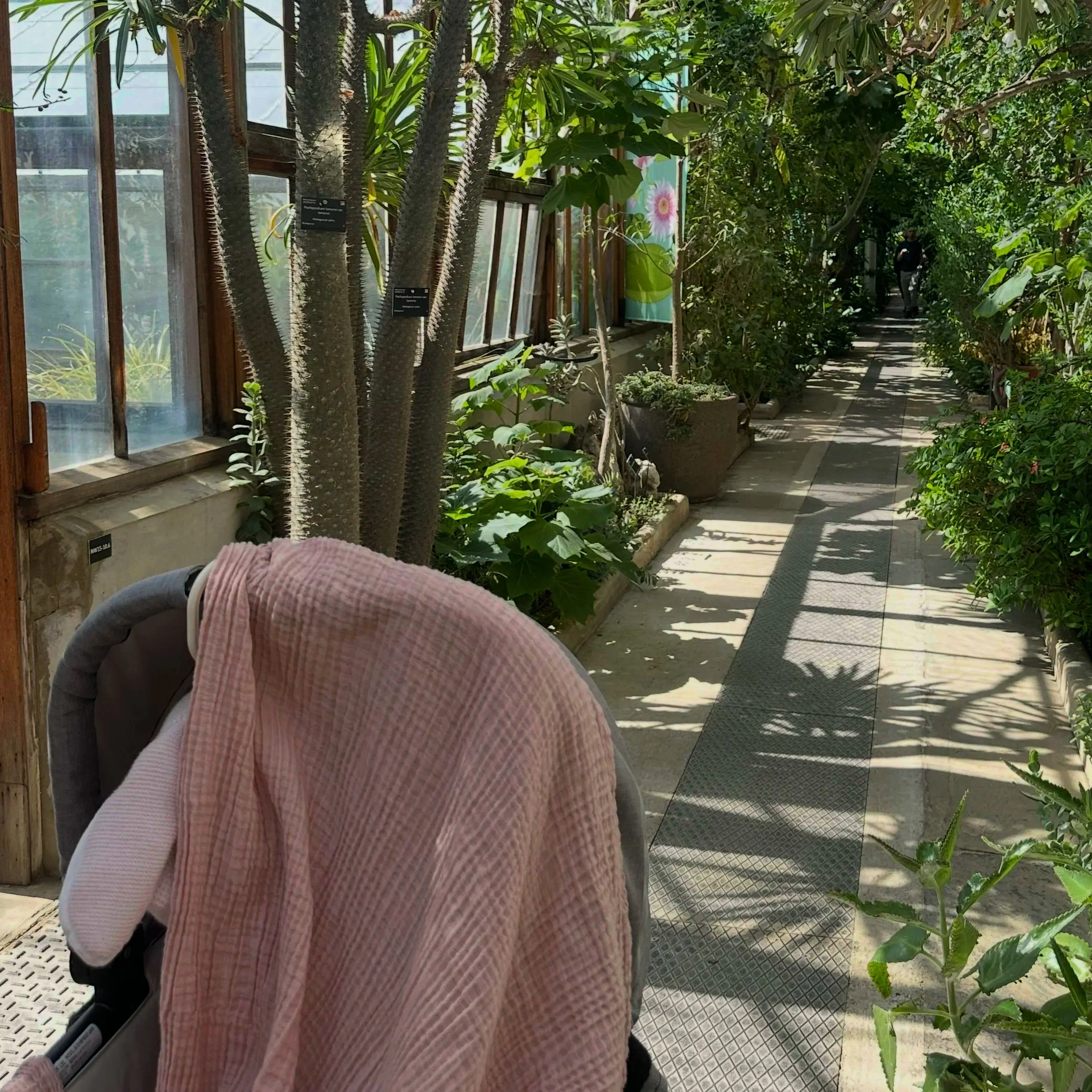 Routines &amp; Road Trips: Our First Family Getaway