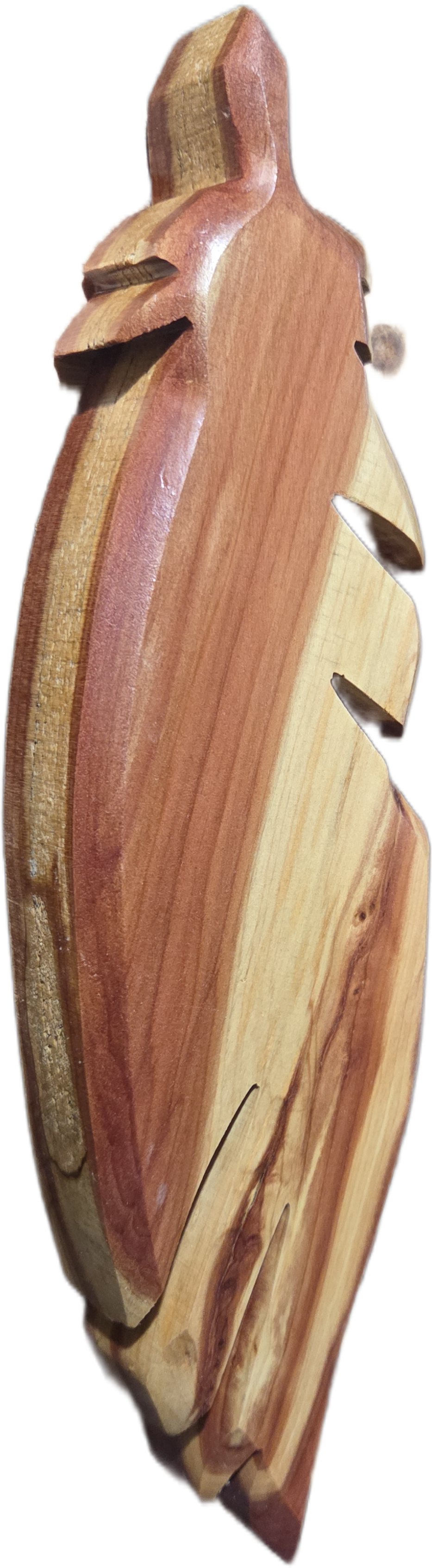 D2C Feather (side).png