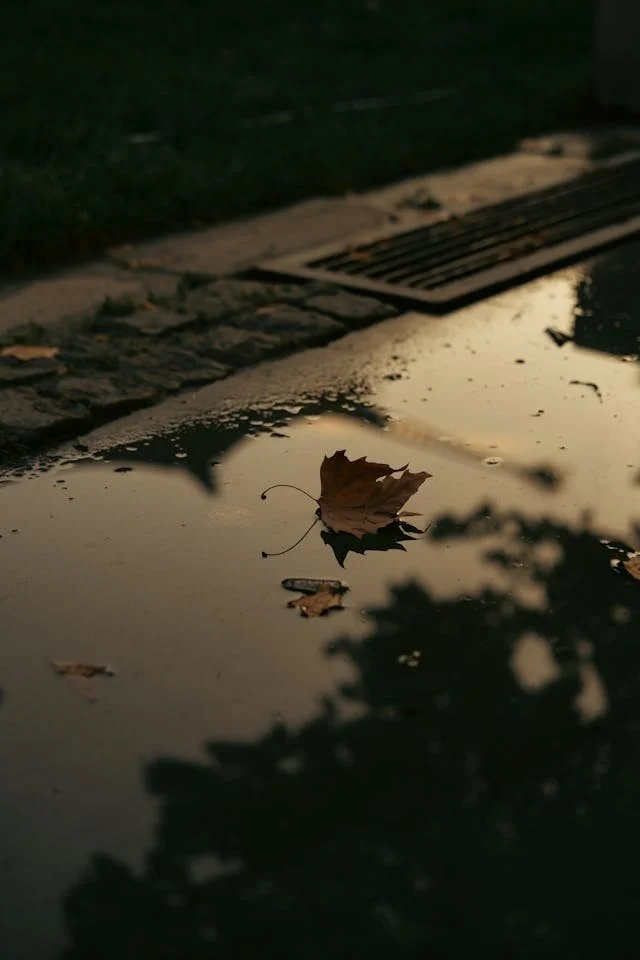 leaf in puddle