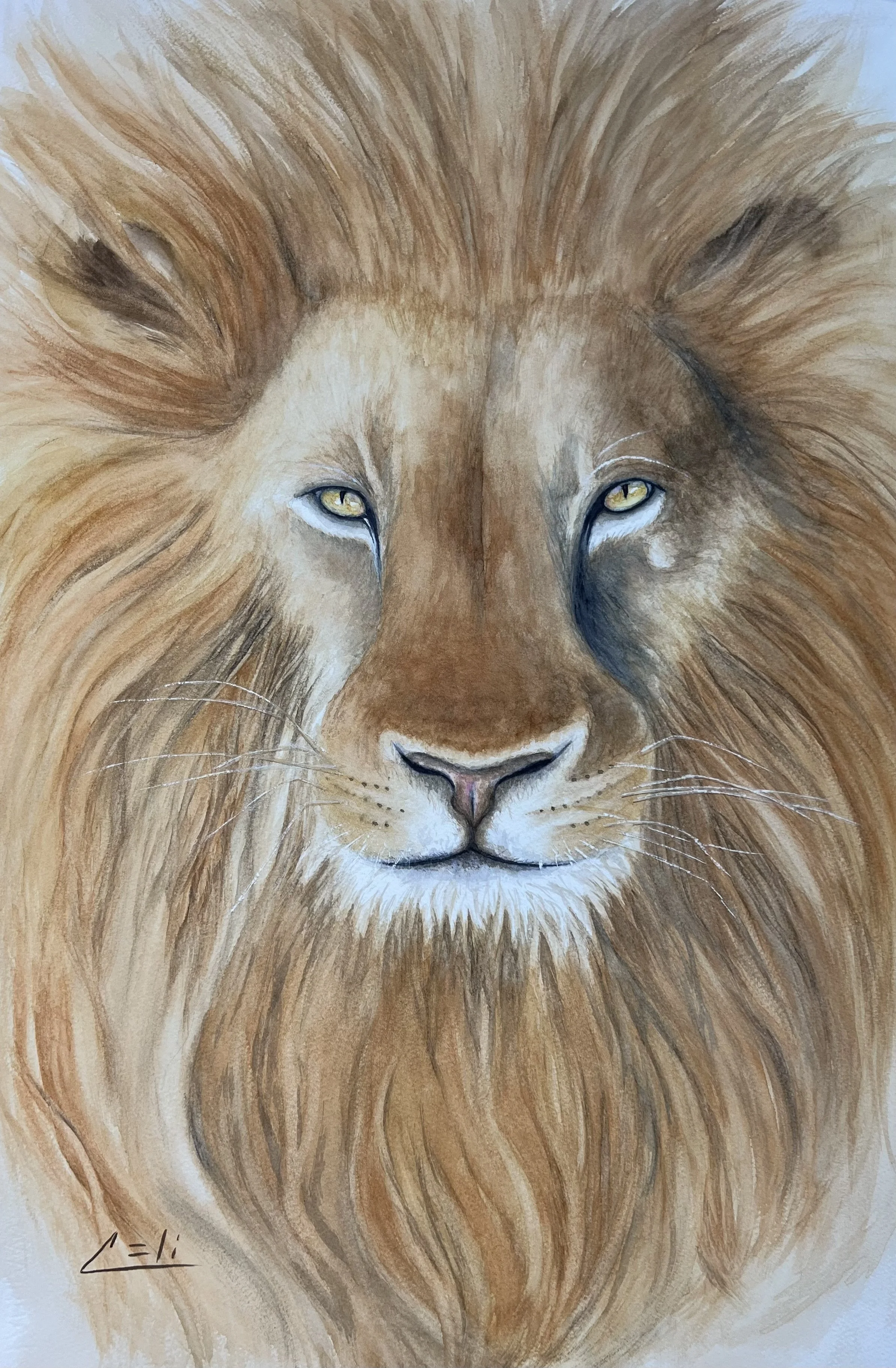 Lion's Mane Power