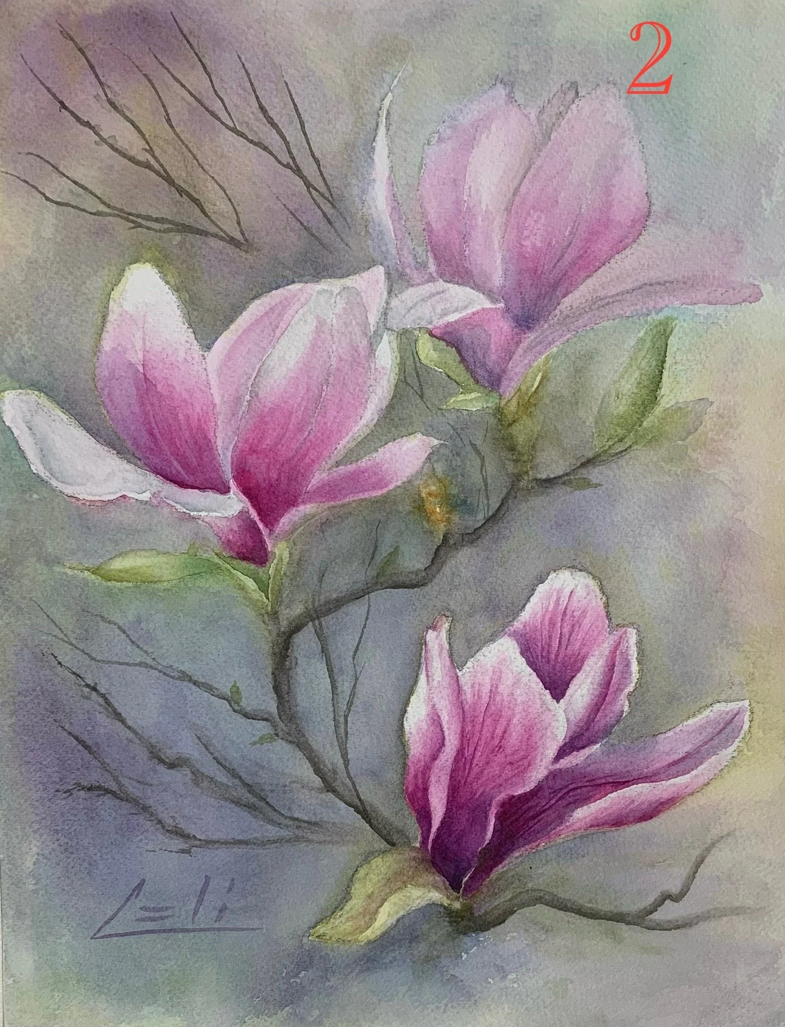 Magnolia 1