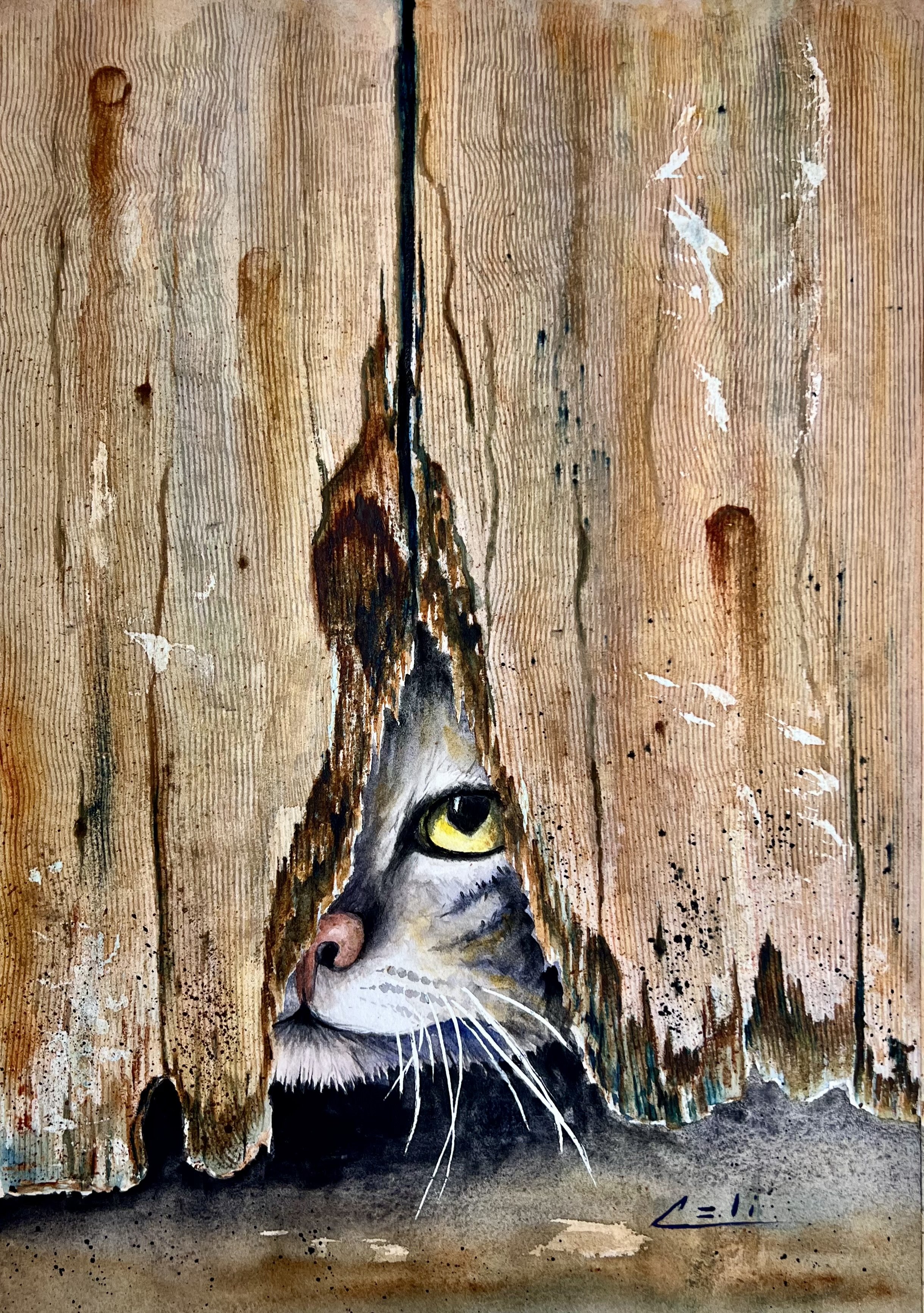 Curiosity