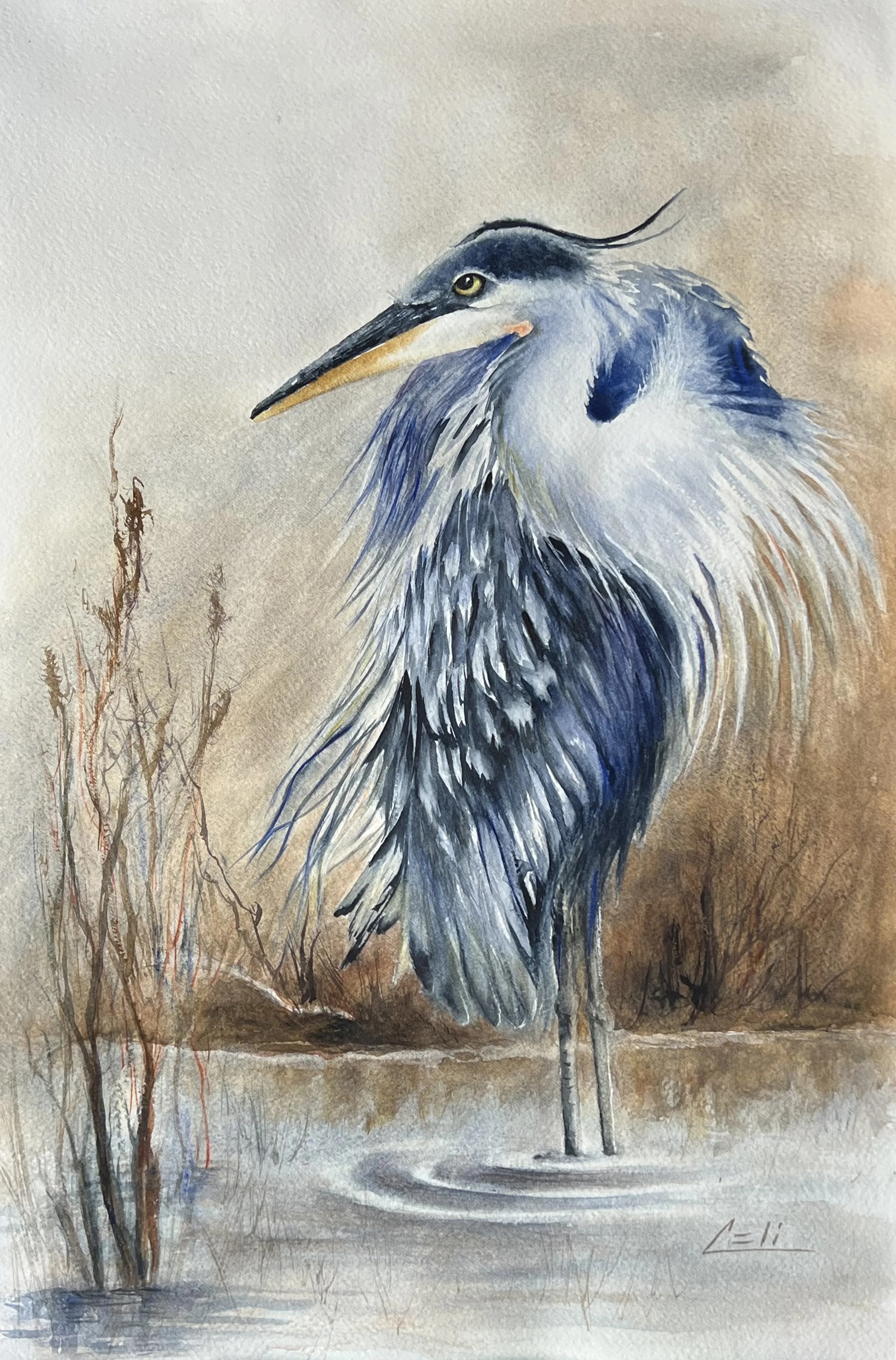 Blue Heron