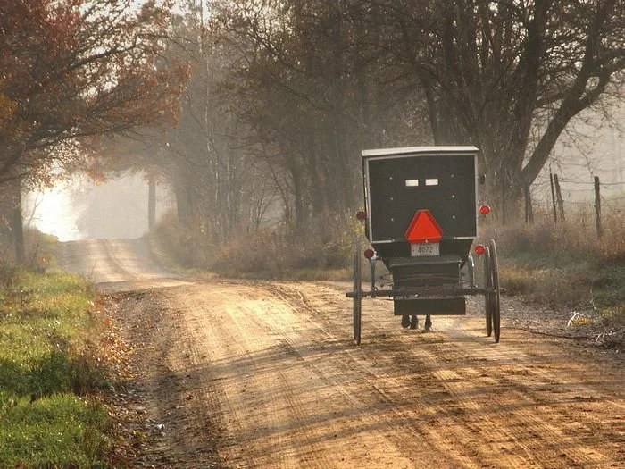 Amish buggy.jpg