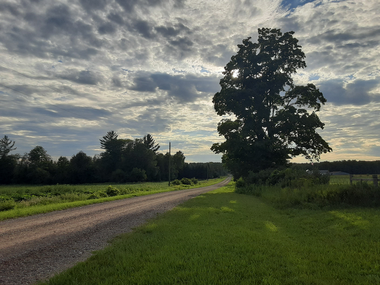 Country road.png