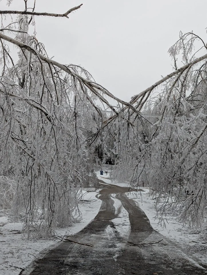 Ice Storem 4.jpg