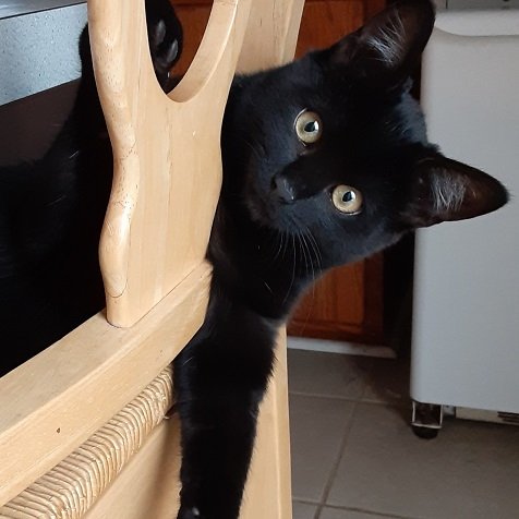 bean chair.jpg