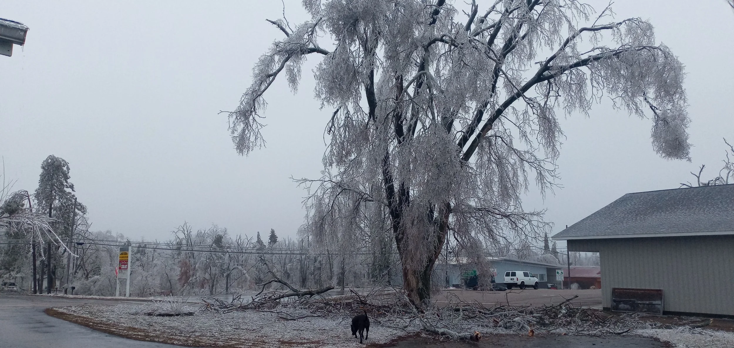 Ice Storm 4.jpg
