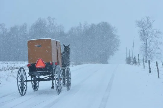 Amish Winter.jpg