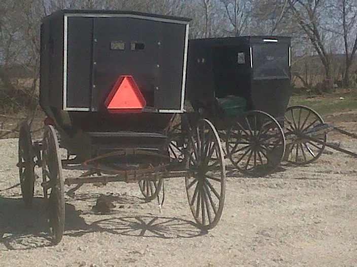 Buggies.jpg