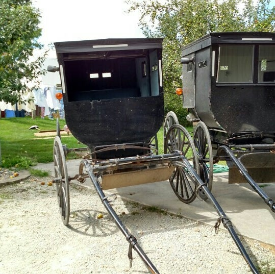 Jr horse buggy.png