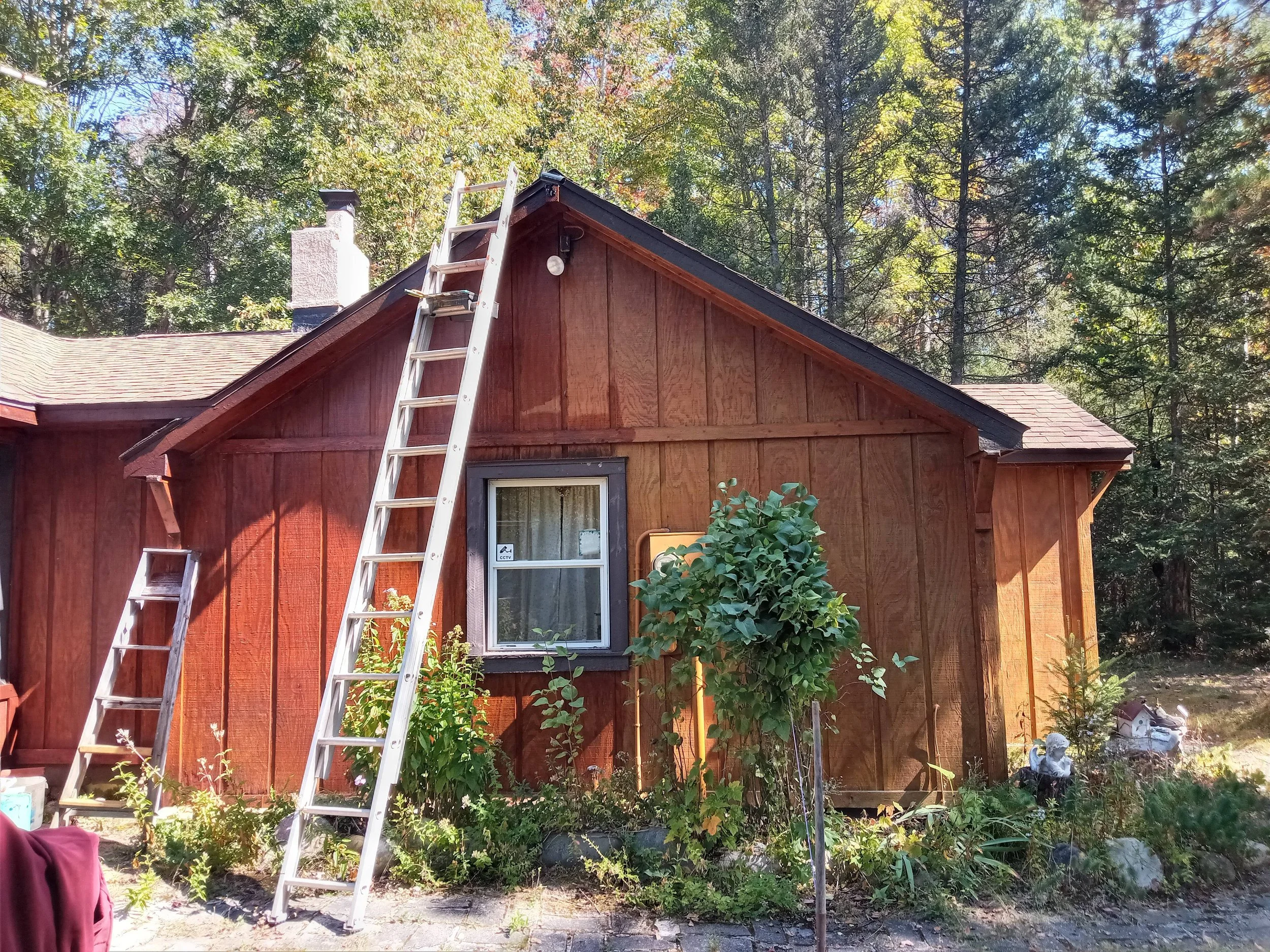 Staining Cabin.jpg