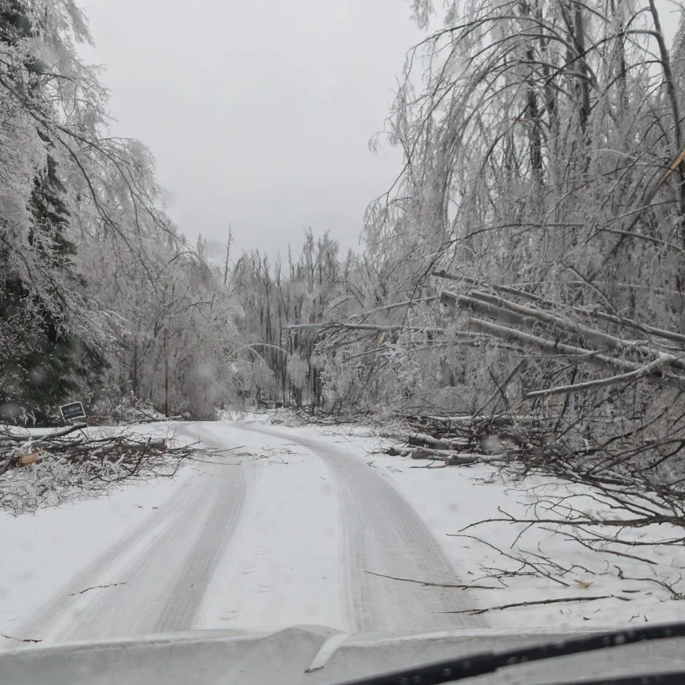 Ice Storm 1.jpg