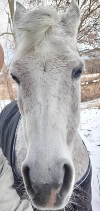 Ari close up.jpg