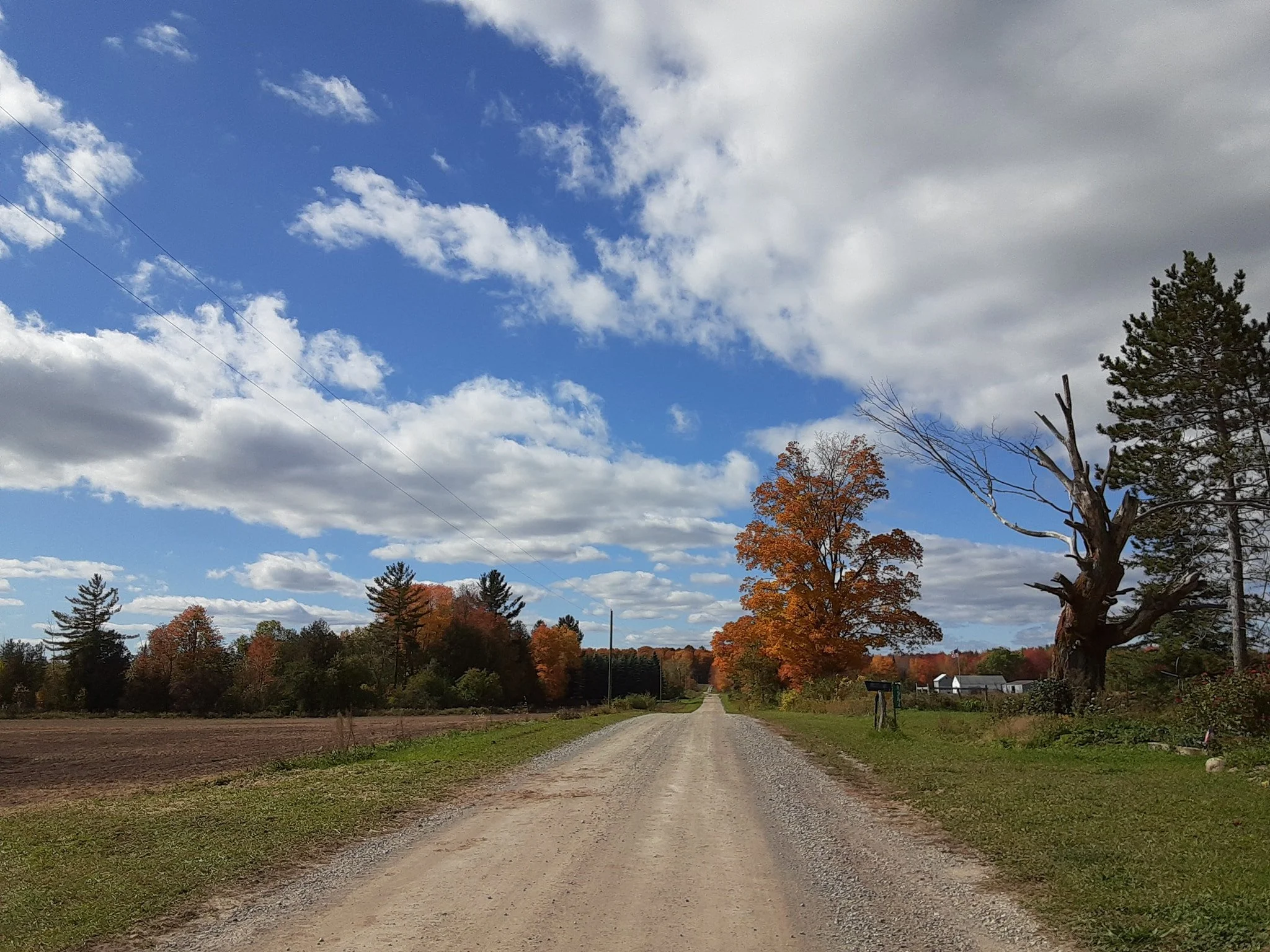 Zbytowski Rd.jpg