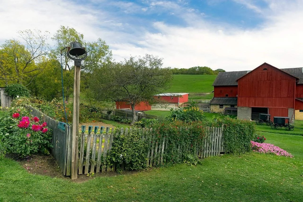 Amish garden and buggies.jpg