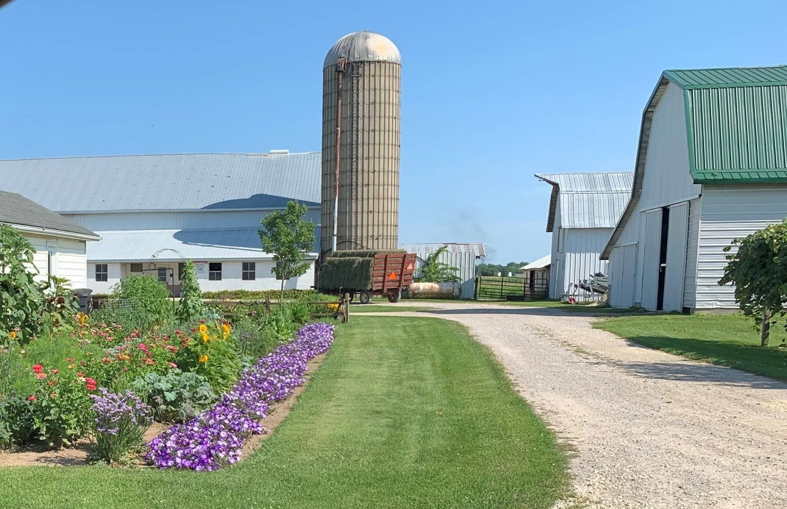 Amish Yard.JPG