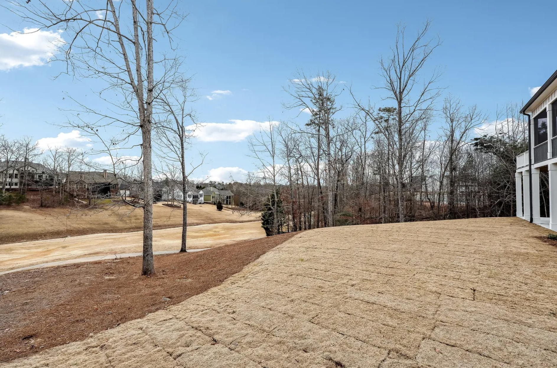 A backyard view with leafless trees, modern houses in the distance, dry grass, and a paved pathway under a partly cloudy sky.