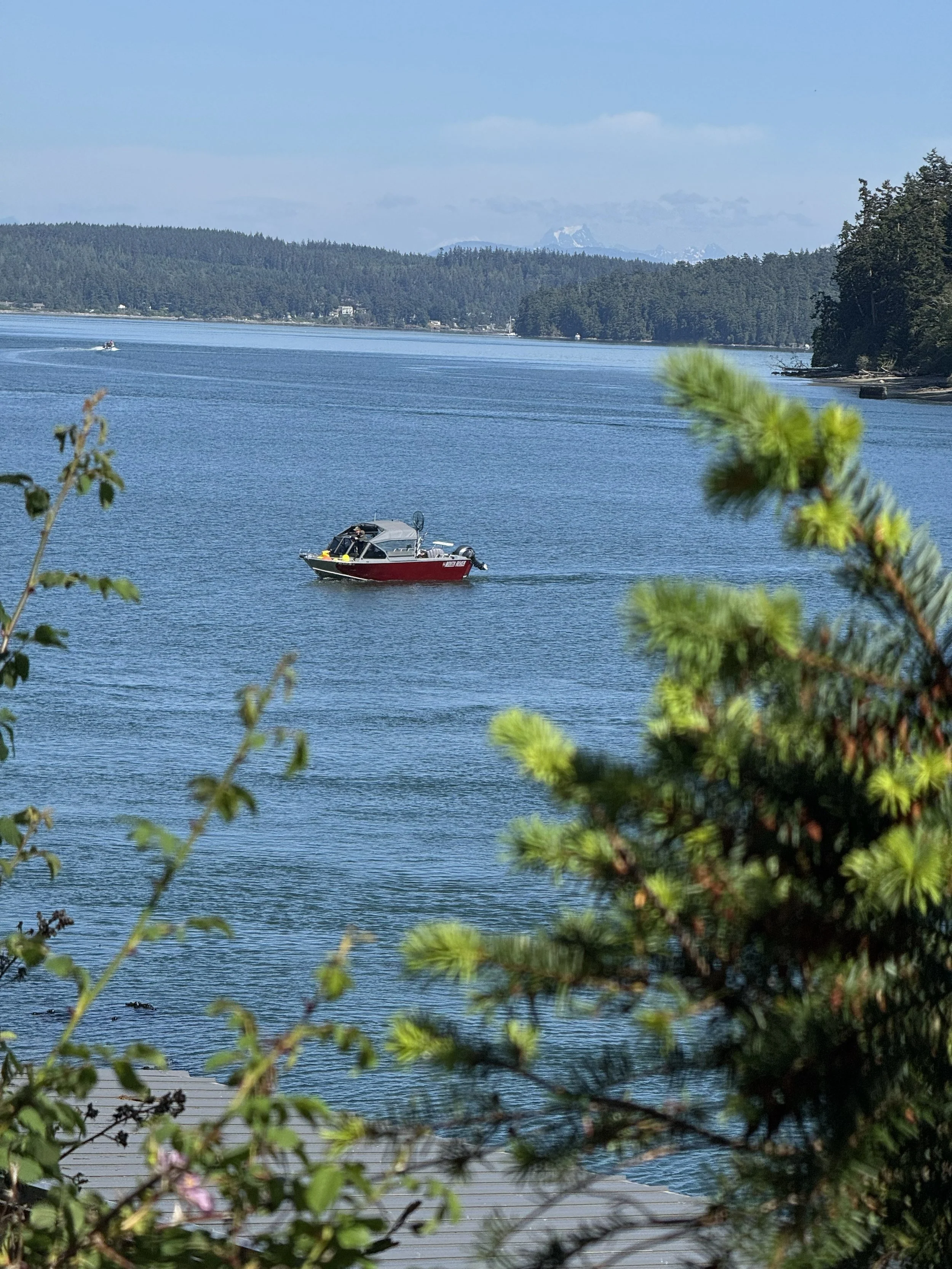 The Cascades are visible to the east looking across Smilk Bay waters.  Hope Island is off in the distance to the east and just a quick boat ride away from Yokeko Point.  Great crabbing locations are in Smilk Bay and around Hope Island.
