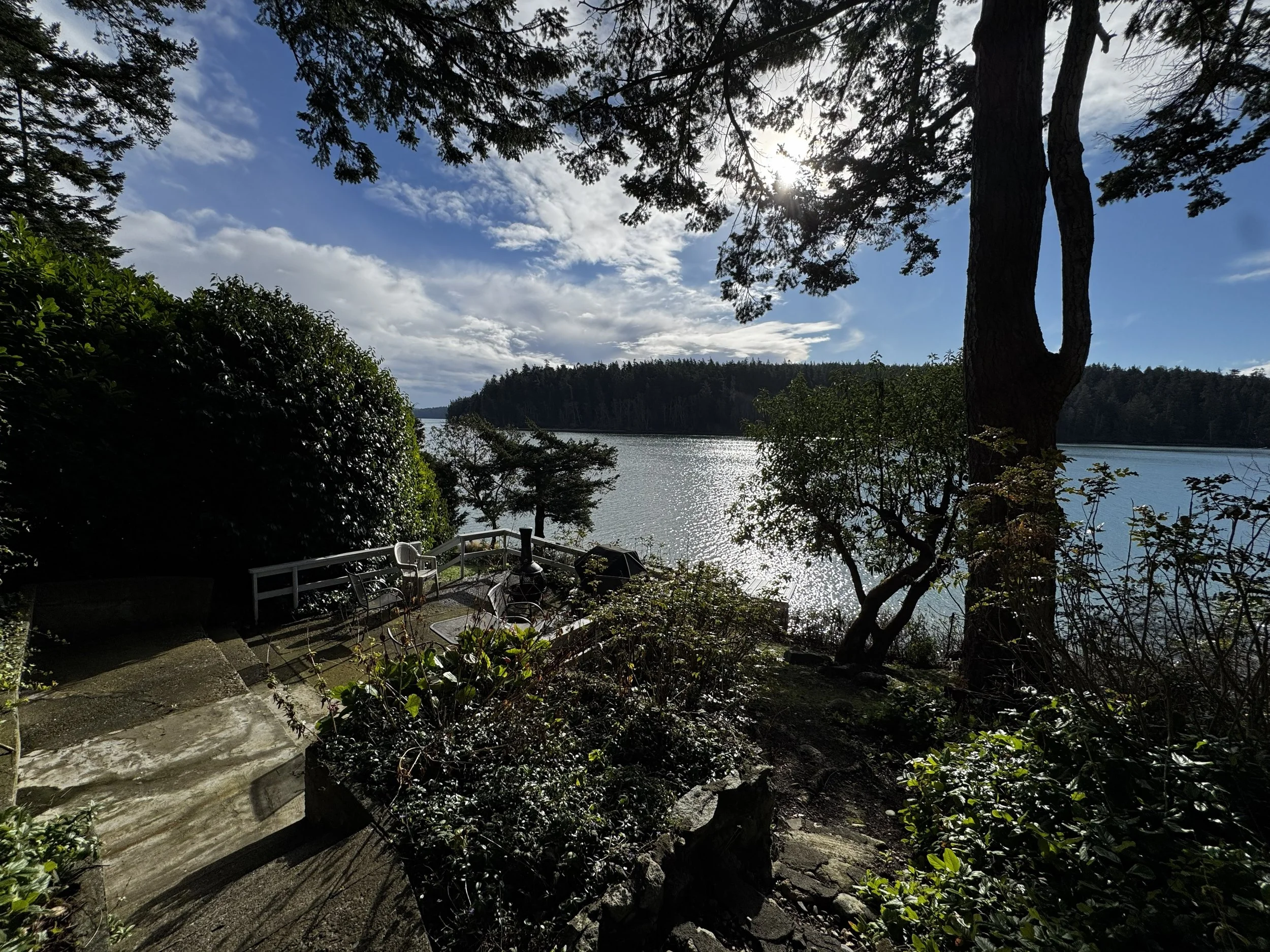 Steps from the house lead you down to the hillside, shoreline line trees and wooden steps to the water level boat house.  The view east at this level is across the water to Hoypus Point on Whidbey Island.  There is the constant sound of water rushing