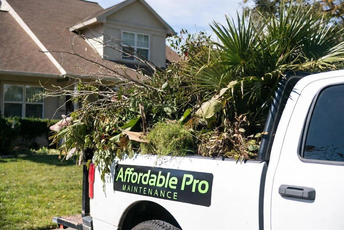 Debris Removal Picture pickup.jpg