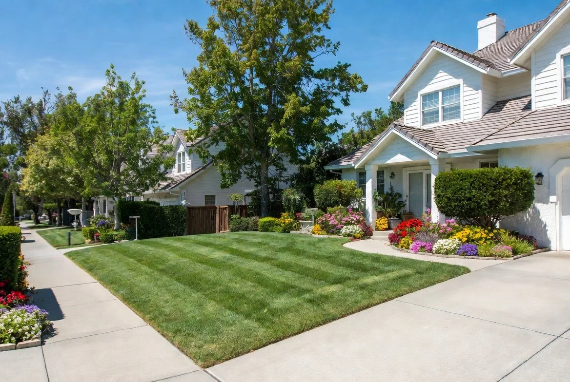 Lawn Mowing, Edging (Front/Back) - Regular Size