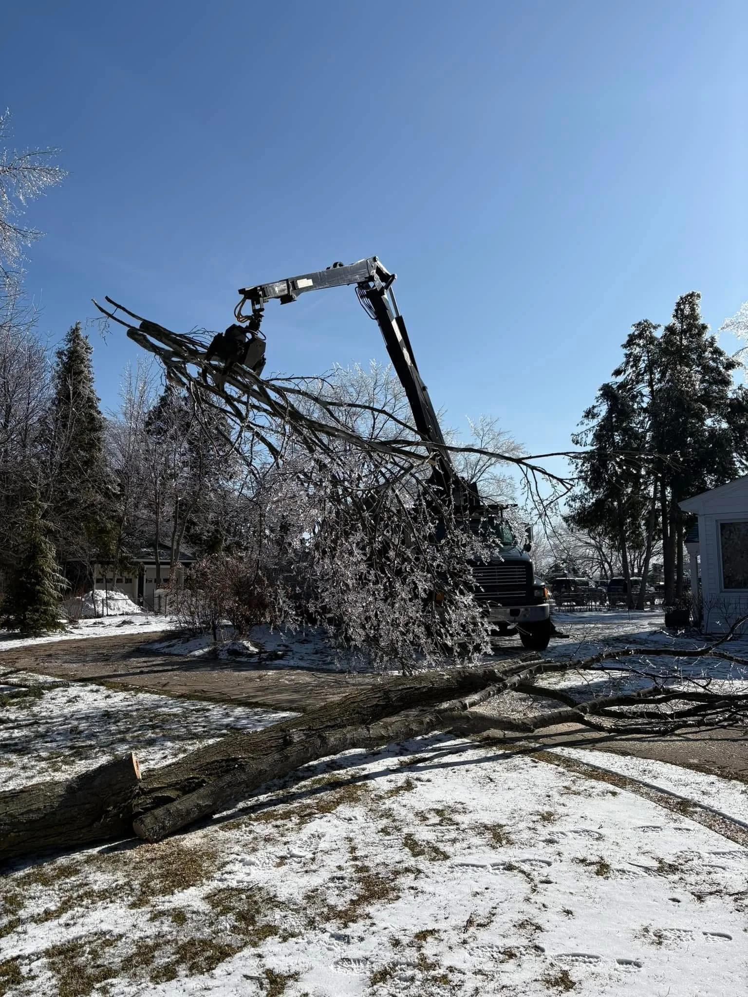 A snow-covered yard with fallen tree branches and a large tree being cut down by a bucket truck under a clear blue sky.