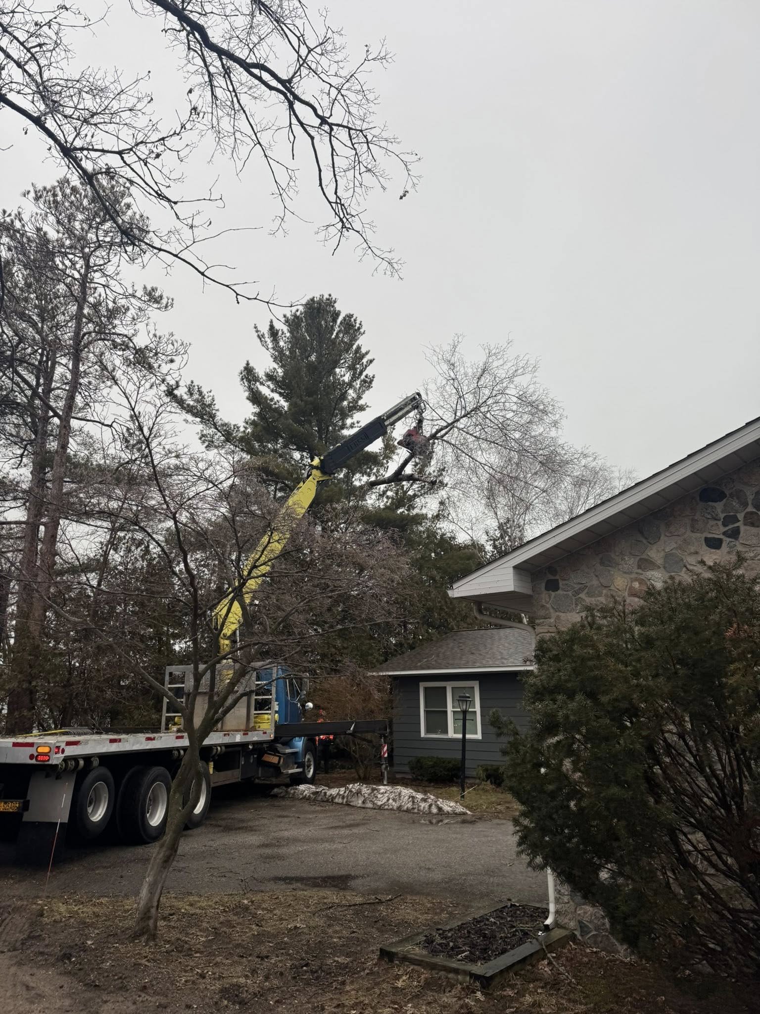 A truck with a crane lifting a tree branch in a residential yard, with a house, trees, and a cloudy sky in the background.
