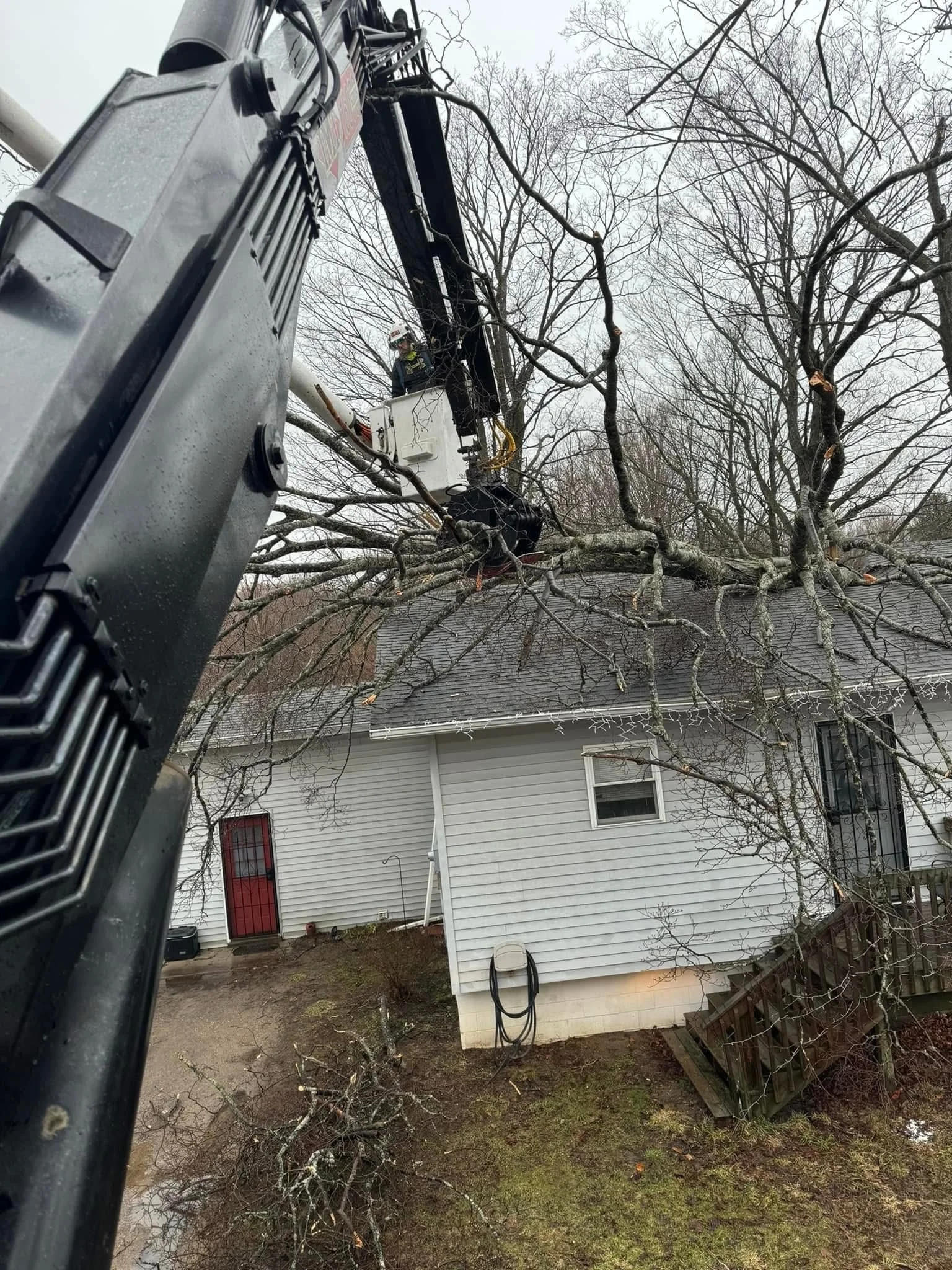 A tall tree with many bare branches in a residential yard, with a worker using a bucket lift to trim the branches. The house has white siding and a red door. The yard has some green grass and bare patches, with fallen branches on the ground.