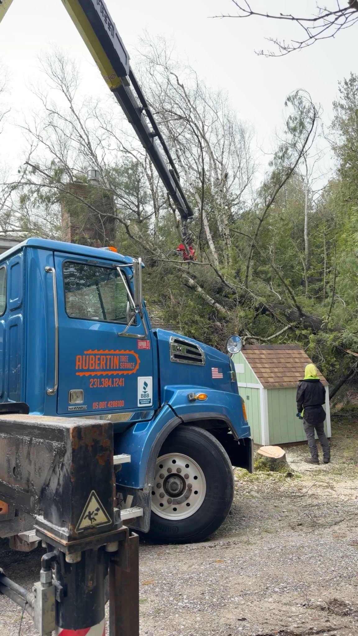 A blue utility truck with the words 'Aubertin Tree Service' on the side is parked near a fallen tree. A worker in a yellow hood and dark clothing stands nearby. A crane attached to the truck is lifting part of the tree, and a small shed with a shingle roof is in the background. The scene is outdoors with trees and overcast sky.