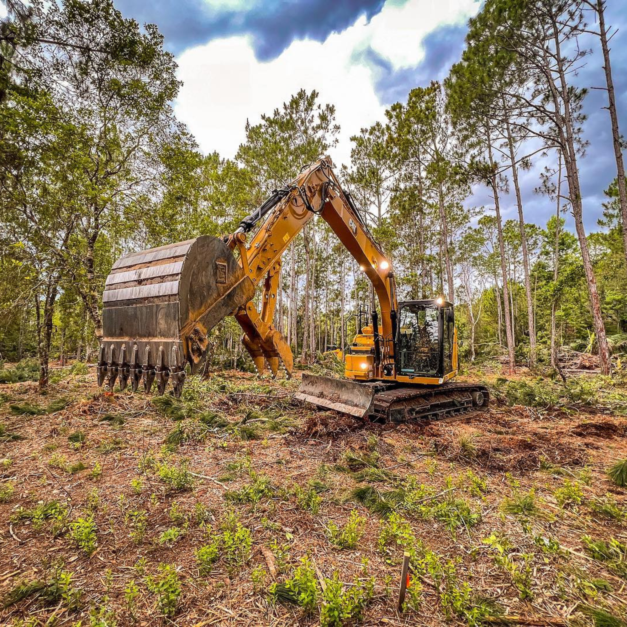 A yellow excavator with a large wooden log in its bucket, working in a forested area with tall trees and a cloudy sky.