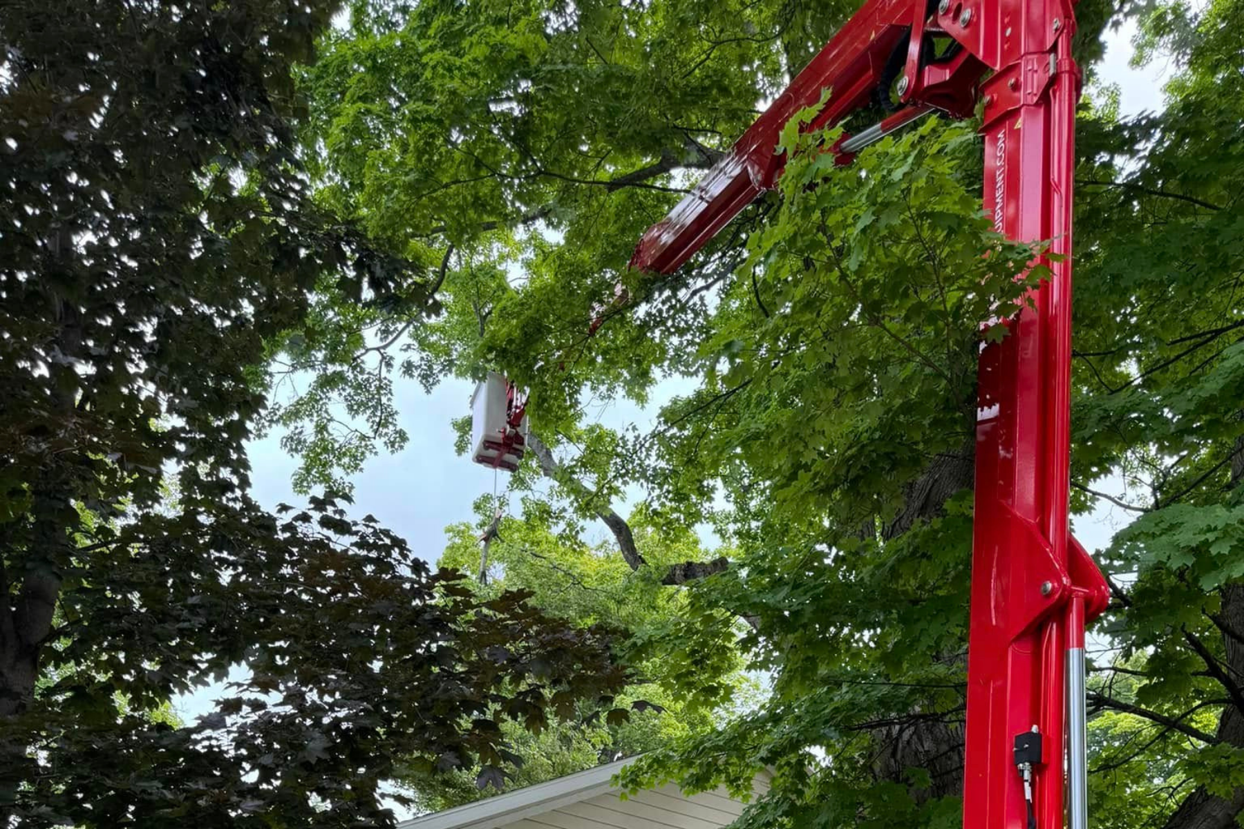A red cherry picker lift extended upward in a residential area, with a bucket at the top containing a worker trimming tree branches. The background shows green leafy trees and part of a house's roofline.