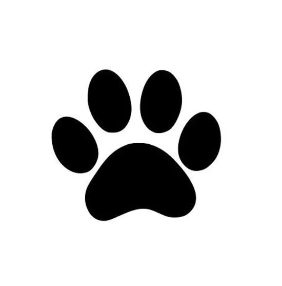 Paw print icon representing professional dog walking and pet care.