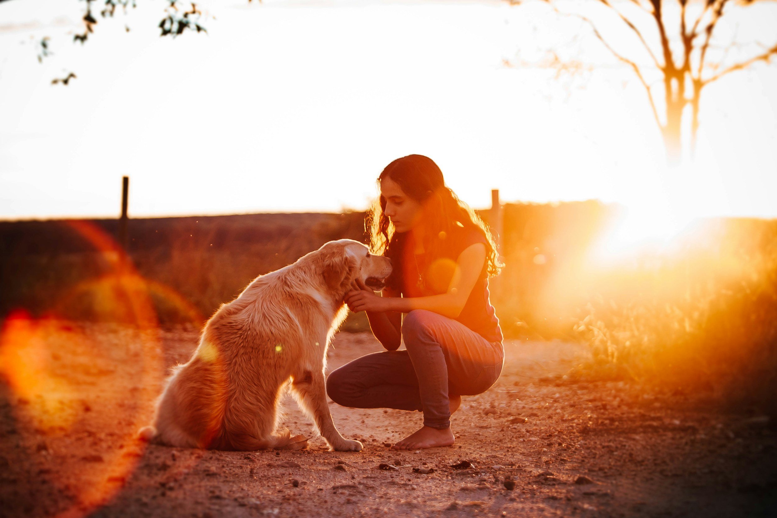 Pet care provider spending quality time with a dog during an outdoor pet care visit.