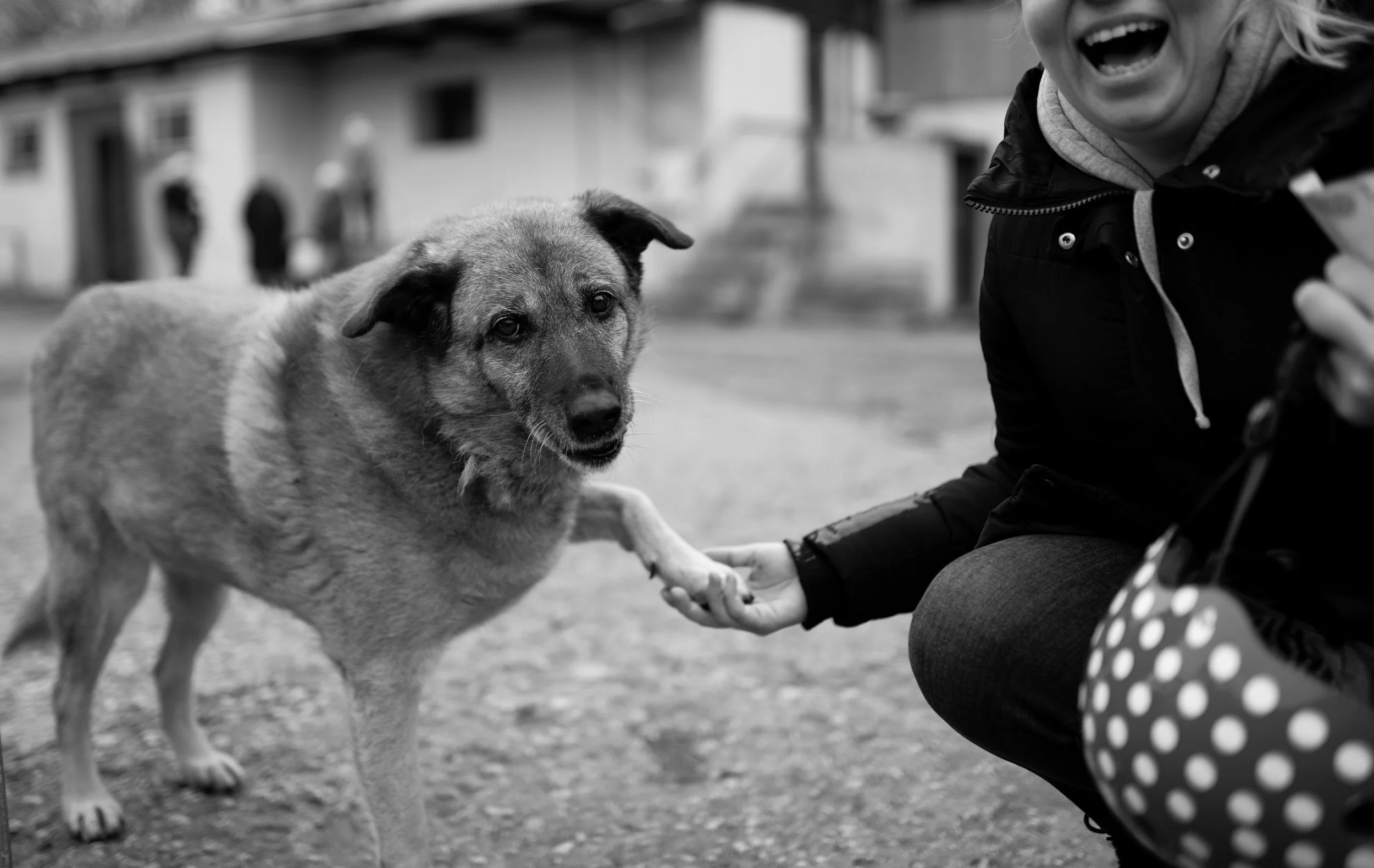 Pet care provider spending time with a dog during an outdoor adventure.