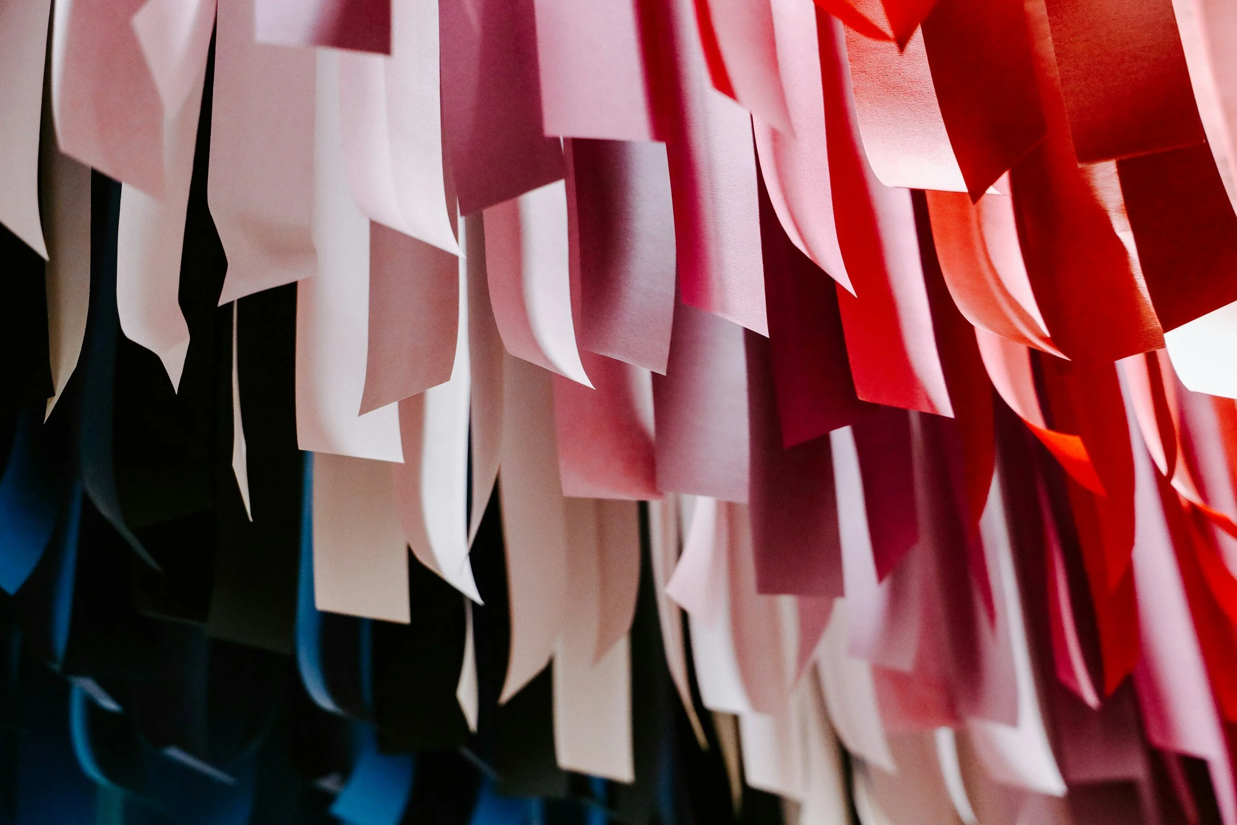 From Reluctant Beginner to Ribbon Chaser